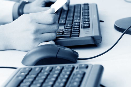 計算機專業在校大學生如何通過計算機系統服務提升競爭力